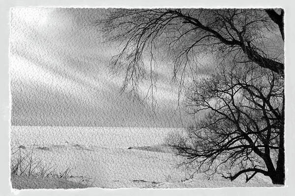 Lake Erie Art Print featuring the photograph Lake Erie in Winter #1 by John Freidenberg