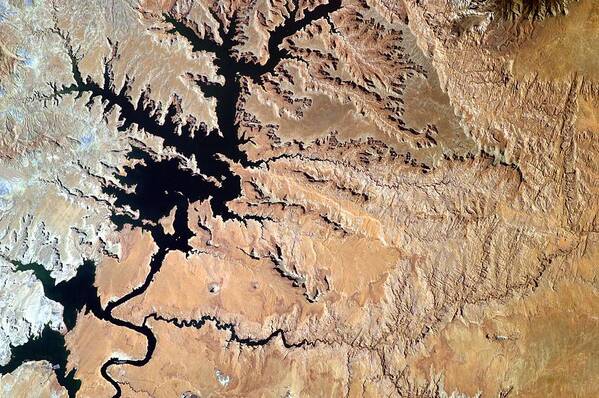 Landscape Art Print featuring the painting Lake Powell From the Space Stations EarthKAM #1 by Celestial Images