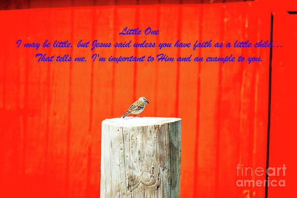 Bird Art Print featuring the photograph Little One #2 by Merle Grenz