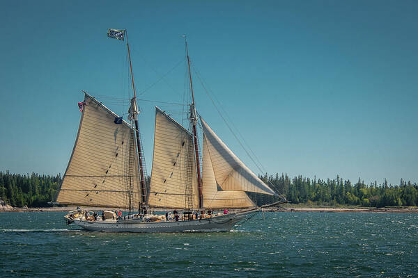 Schooner Art Print featuring the photograph Mary Day by Fred LeBlanc