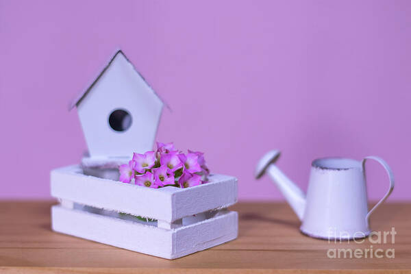 Background Art Print featuring the photograph Miniature Gardening Kit with Pink Background #1 by Eiko Tsuchiya