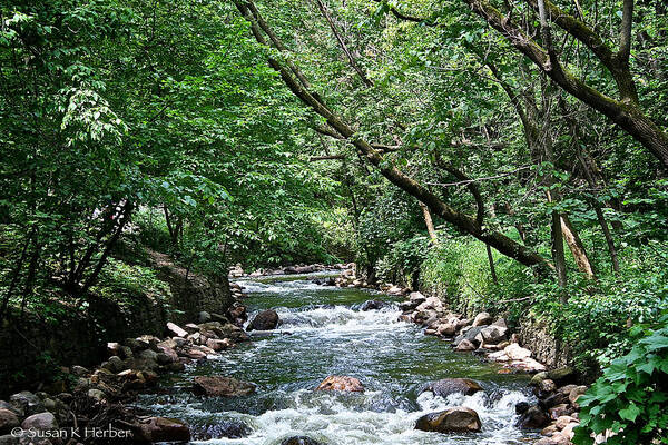 Outdoors Art Print featuring the photograph Minnehaha Creek #1 by Susan Herber