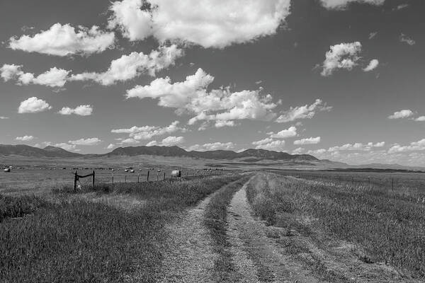 Montana Art Print featuring the photograph Montana Countryside Black and White #1 by John McGraw