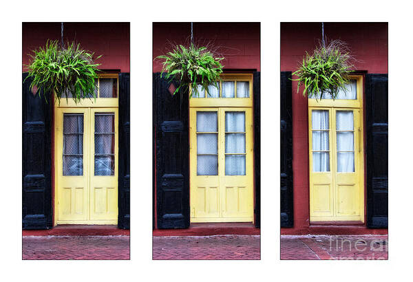 New Orleans Art Print featuring the photograph NOLA Doors Triptych #2 #1 by Jarrod Erbe