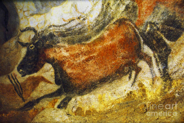 Lascaux Art Print featuring the photograph Paleolithic cave painting #1 by Ruth Hofshi