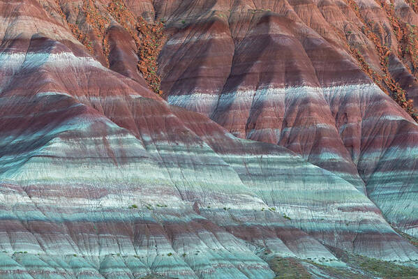 Landscape Art Print featuring the photograph Paria Canyon by Chuck Jason