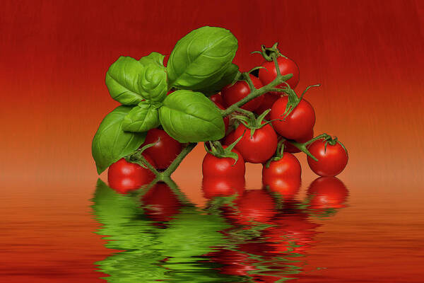 Basil Art Print featuring the photograph Plum Cherry Tomatoes Basil #1 by David French