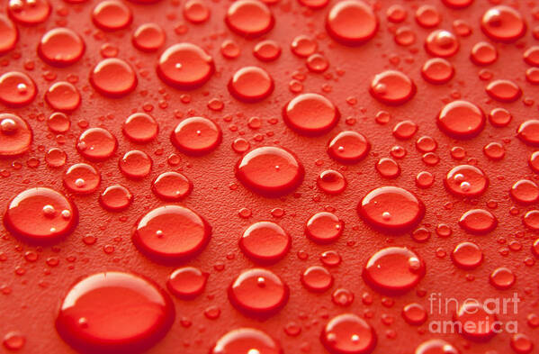 Water Art Print featuring the photograph Red water drops #1 by Blink Images