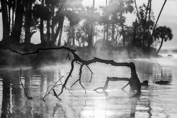 Florida Art Print featuring the photograph River Sculpture #1 by Stefan Mazzola