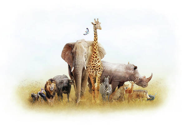 Animal Art Print featuring the photograph Safari Animals in Africa Composite #1 by Good Focused