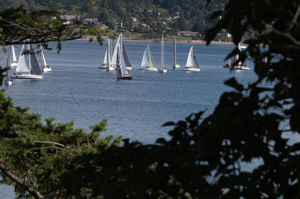 Boats Art Print featuring the photograph Sailboat Races #1 by Paul Kukuk
