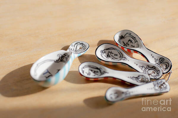 Spoon Art Print featuring the photograph Spoon Family #1 by Aiolos Greek Collections