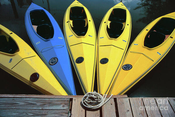 Kayaks Art Print featuring the photograph kayaks photographs - Yellow Kayaks by Sharon Hudson