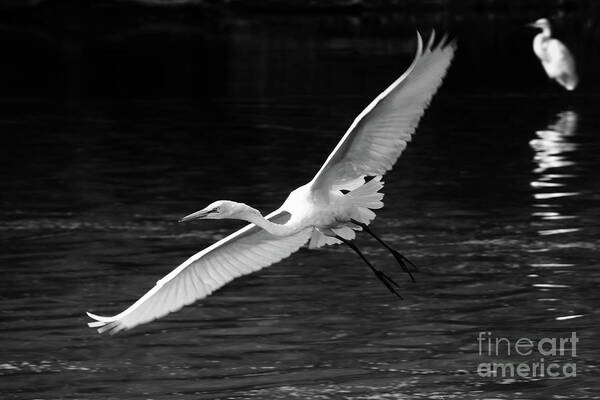 Christian Art Print featuring the photograph Spread Your Wings by Anita Oakley