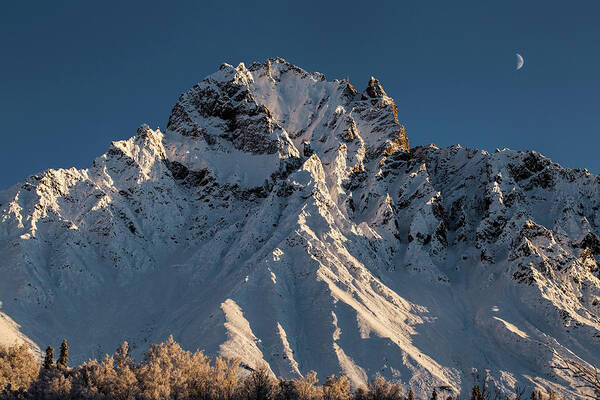 Alaska Art Print featuring the photograph Williams Peak by Fred Denner