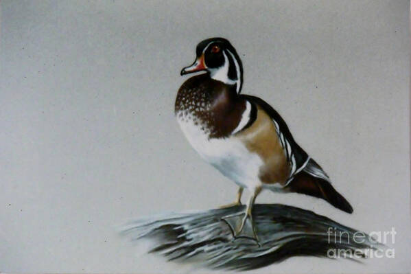 Duck Art Print featuring the painting Woodie by Lynne Parker