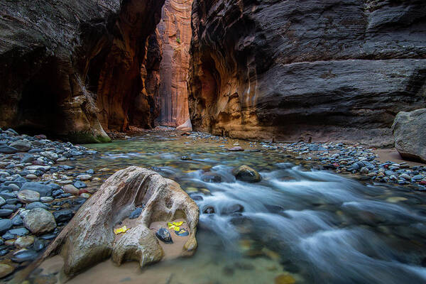 Utah Art Print featuring the photograph Zion Narrows #1 by Wesley Aston