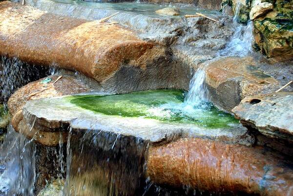 Ft. Worth Art Print featuring the photograph Zoo Waterfall #2 by Kenny Glover