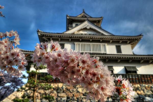 Nagahama Japan Art Print featuring the photograph Nagahama Japan #10 by Paul James Bannerman