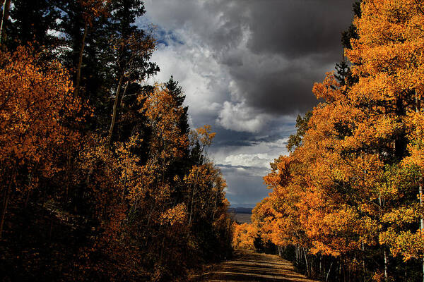 Autumn Art Print featuring the photograph Rocky Mountain Fall #124 by Mark Smith