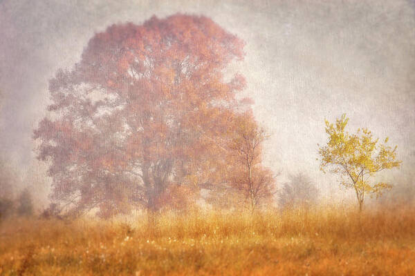 Autumn Art Print featuring the photograph Autumn Mist #3 by Leda Robertson