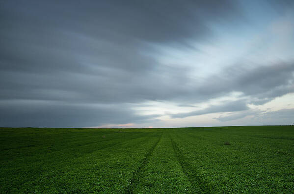 Green Field Art Print featuring the photograph Green field and cloudy sky #2 by Michalakis Ppalis