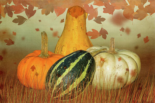 Pumpkins Art Print featuring the photograph Harvest Time by Cathy Kovarik
