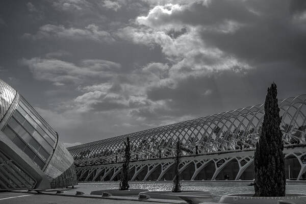 Museu De Les Cincies Prncipe Felipe Art Print featuring the photograph Museu de les Ciencies Principe Felipe #2 by Henri Irizarri