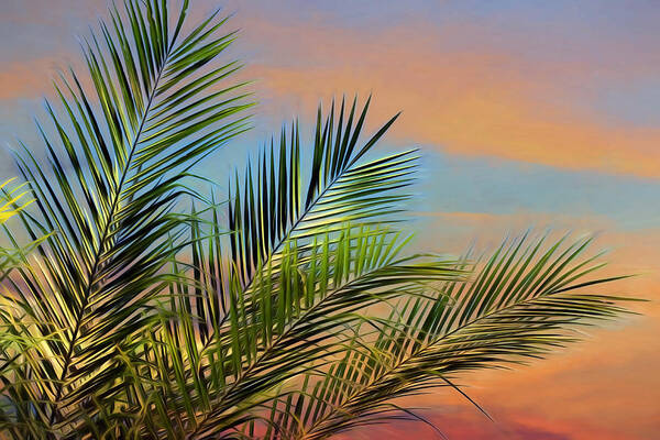 Naples Art Print featuring the photograph Naples Palms #2 by Lori Deiter