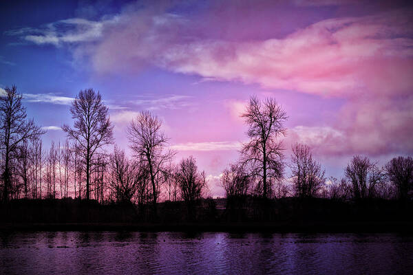 Pink Art Print featuring the photograph Pink Dawn by Bonnie Bruno