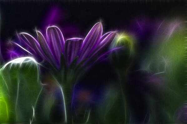 Abstract Art Print featuring the photograph Purple Daisy by Stelios Kleanthous