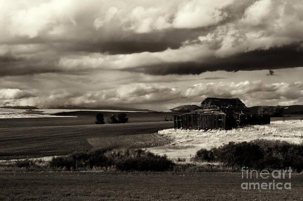 Barn Art Print featuring the photograph Seen Better Days #2 by Michael Dawson