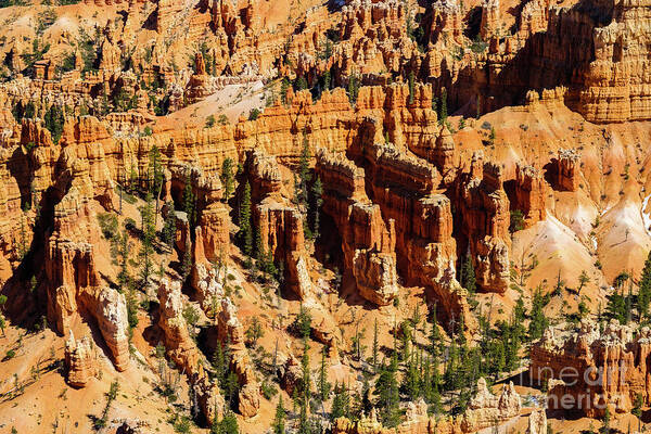 Bryce Canyon Art Print featuring the photograph Bryce Canyon Utah #20 by Raul Rodriguez