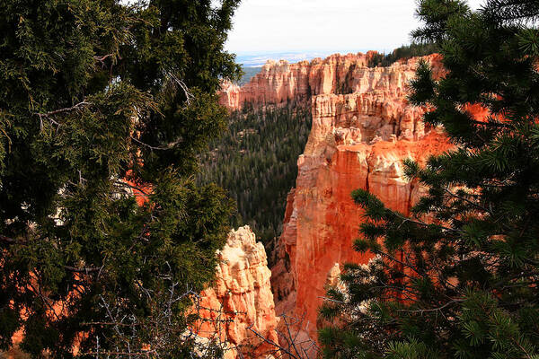 Bryce Canyon National Park Art Print featuring the photograph Capitol Reef National Park #271 by Mark Smith