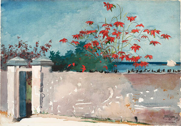 Winslow Homer Art Print featuring the drawing A Wall. Nassau #3 by Winslow Homer