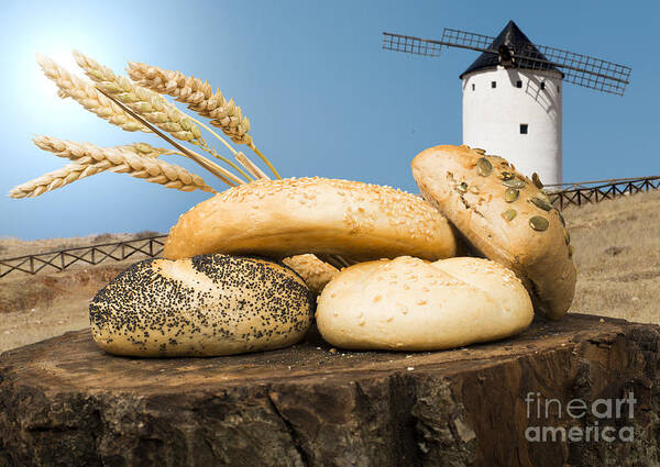 Agriculture Art Print featuring the photograph Different breads and windmill in the background #3 by Deyan Georgiev