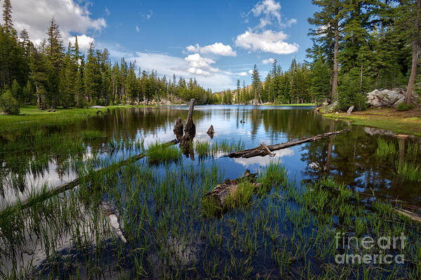 Landscape Art Print featuring the photograph Mosquito Lake #3 by Dianne Phelps