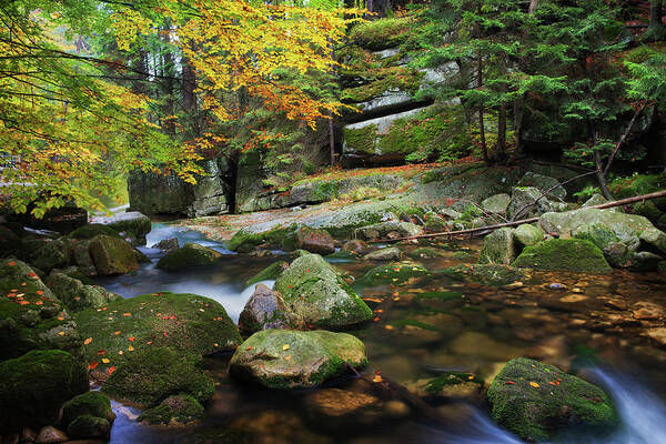 Stream Art Print featuring the photograph Stream in Autumn Mountain Forest #3 by Artur Bogacki