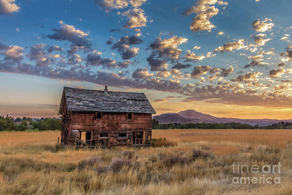 Barn Art Print featuring the photograph Old Homestead #2 by Robert Bales
