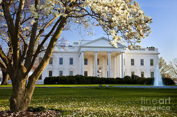 White House Art Print featuring the photograph The White House #4 by Brian Jannsen