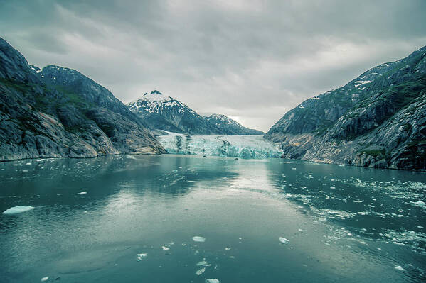 Arm Art Print featuring the photograph Tracy Arm Fjord Scenery In June In Alaska #4 by Alex Grichenko