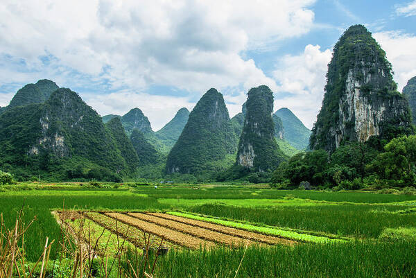 Karst Art Print featuring the photograph Karst mountains and rural scenery #45 by Carl Ning