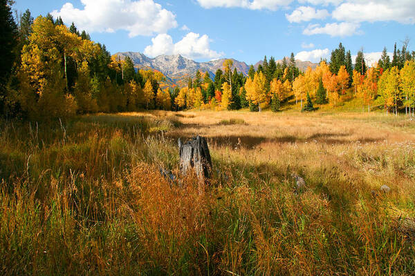 Autumn Art Print featuring the photograph Autumn Splender #5 by Mark Smith