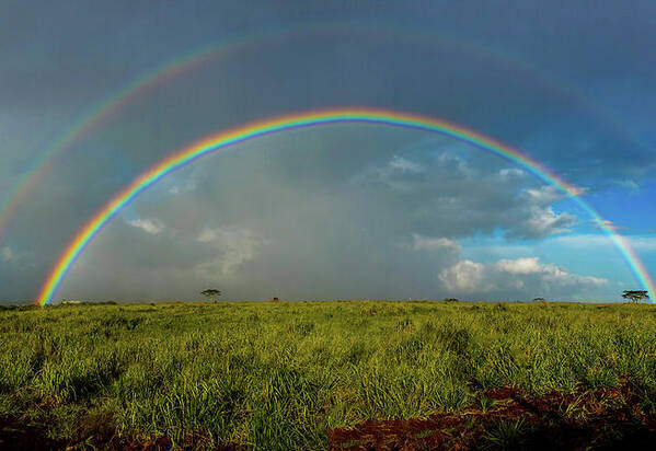 Rainbow Art Print featuring the photograph Rainbow by Mark Jackson