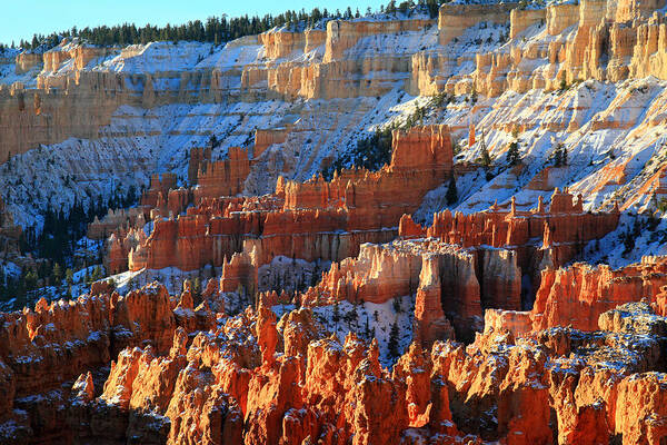 Bryce Art Print featuring the photograph Sunset point in Bryce Canyon #5 by Pierre Leclerc Photography