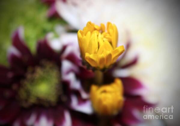 Yellow Art Print featuring the photograph Flowers #54 by Deena Withycombe