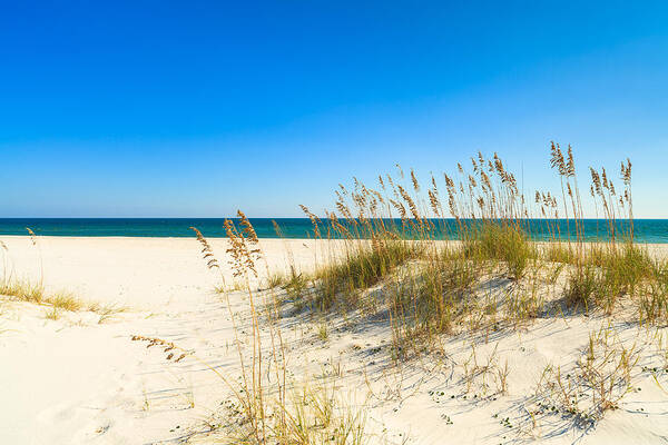 Florida Art Print featuring the photograph Beautiful Beach by Raul Rodriguez