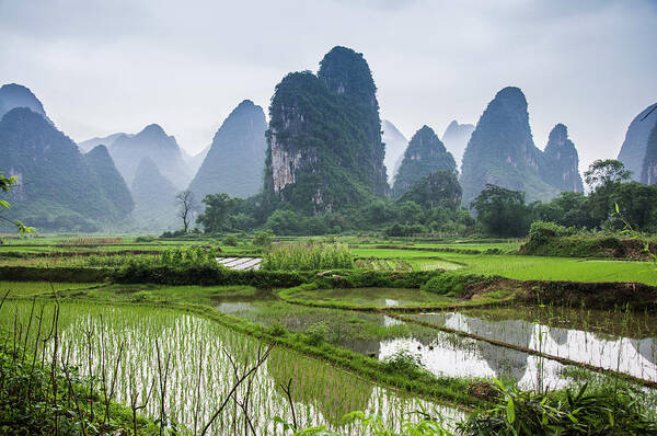 Landscape Art Print featuring the photograph The beautiful karst rural scenery in spring #6 by Carl Ning