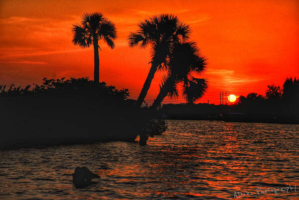 River Art Print featuring the photograph 75 Island Sunset by Allen Williamson