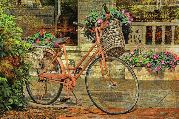 Bicycle Art Print featuring the photograph A Basketful of Spring by HH Photography of Florida
